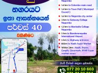 High Residential Land for Sale in Negombo