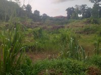 Valuble Land For Sale In Pasyala