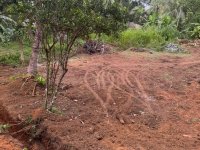 Residential Land for Sale in Kadawatha