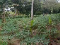 Valuable Land for Sale in Nittambuwa