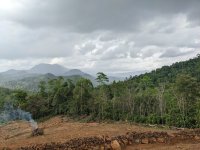 Commertial Valuble Land For Sale In Daraniyagala