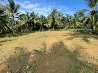 Land for Sale Near Dekatana (Delgoda)