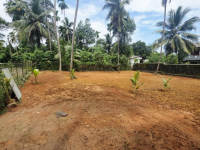 Valuable Land for Sale in Delgoda / Daranagama