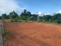 Valuble Land For Sale In Nagoda