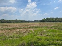 Residential Land For Sale In Gampaha