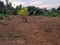 Land for Sale in Wattala Hunupitiya