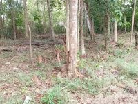 Valuble Land For Sale In Kurunagala
