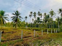 Prime Land For Sale In Pothuhera
