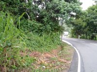 A Prime Land For Sale In Akuressa, Facing The Weligama Main Road.