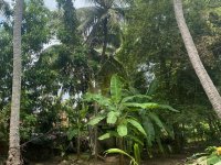 Valuble Land For Sale In Puttalama
