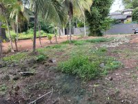Valuable Land for Sale in Delgoda,udupila