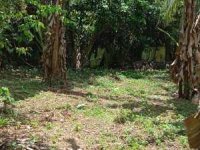 Valuble Land For Sale In Polgasowita