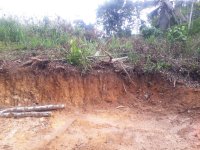 Valuable Land for Sale in Galle