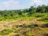 Land For Sale In Dampe