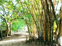 10 Acres of Prime Land for Sale in Batticaloa