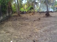 Residential Land For Sale Ja-Ela 