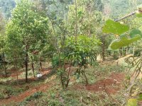 Land for Sale – Alawatta, Bandarawela