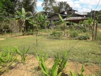 Land for Sale in Padukka