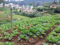 Nuwara Eliya Residential Land for Sale