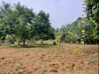 Residential Land For Sale In Malwane