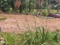 Prime Land For Sale - 120 Bus Road, Kahathuduwa