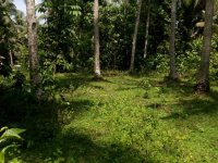 Land For Sale In Gampaha 