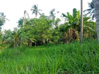Valuble Residential Land Sale In Mirigama