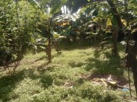 Land for Sale in Biyagama