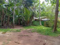 Land For Sale In  Udugampala