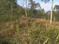 Land for Sale Bandarawela