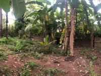 Land For Sale In Kelaniya