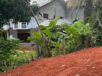 Valuable Land For Sale In  Anuradhapura