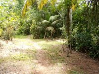 Land For Sale In Hikkaduwa