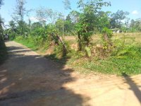 Land For Sale In Horana 
