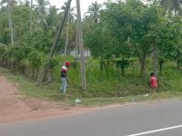 Valuble Land For Sale In Madampe