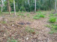 Residential Land Near To Mirigama