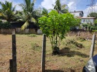 Valuble Land For Sale In Thalawathugoda