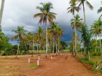 Valuble Land For Sale In Tangalle