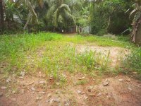 Land For Sale In Galigamuwa Town