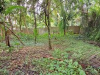 Valuable Land for Sale in Bandaragama Town