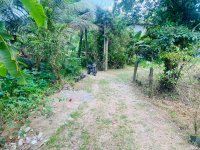 Valuable Land for Sale Kaduwela