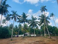 Valuable Land for Sale in Denipitiya Matara