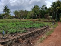 Valuable Land For Sale In Nittambuwa