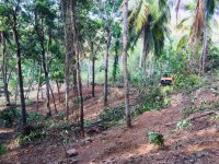 High Valuble Land For Sale In Matara