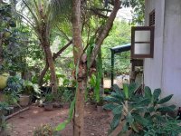 Valuable House for Sale in Athurugiriya