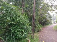 Residential  Land For Sale In Kadana