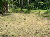 Land For Sale In Udugampola