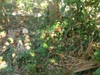 Residential Land For Sale In Matara