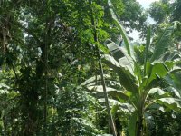 Residential Land For Sale ine Polgawela-Rambukkana