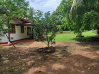 House With Land For Sale In Mirigama